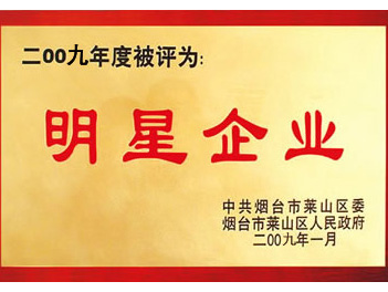 明星企业